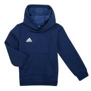 Sweater adidas ENT22 HOODY Y