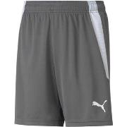 Korte Broek Puma Teamliga Shorts Jr