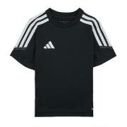 T-shirt Korte Mouw adidas TIRO23 CBTRJSYY