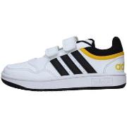 Lage Sneakers adidas IF5316