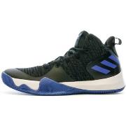 Basketbalschoenen adidas -