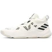 Basketbalschoenen adidas -