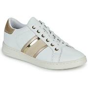 Lage Sneakers Geox D JAYSEN