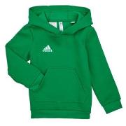 Sweater adidas ENT22 HOODY Y