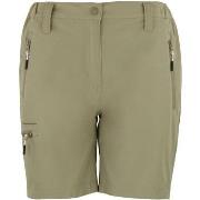 Korte Broek Peak Mountain Short de randonnée femme ASSOR