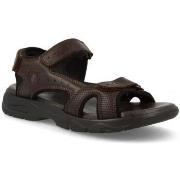 Sandalen Kangaroos BASKETS 522