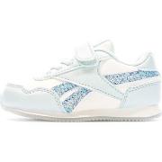 Lage Sneakers Reebok Sport -