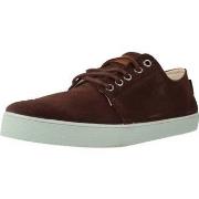 Nette schoenen Pompeii HIGBY SUEDE