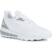 Lage Sneakers Geox -