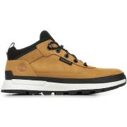 Sneakers Timberland Filed Trekker Low Lace Sneaker