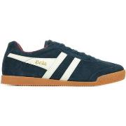 Sneakers Gola Harrier Suede