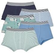 Boxers Petit Bateau LOT BOXER X5