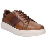 Sneakers Fluchos BASKETS BOSTON F2043