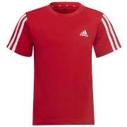 T-shirt adidas -