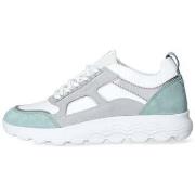 Sneakers Geox -