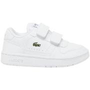 Lage Sneakers Lacoste -