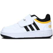 Lage Sneakers adidas IH7900