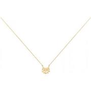 Ketting Phebus Collier Femme