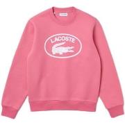 Sweater Lacoste -