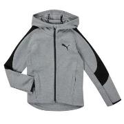 Sweater Puma EVOSTRIPE CORE FZ HOODIE