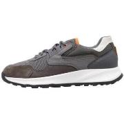 Lage Sneakers Geox U TERRESTRE B