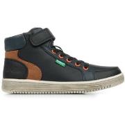 Sneakers Kickers Lolastic