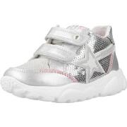 Sneakers Falcotto AMANTEA STAR