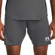 Korte Broek Under Armour -