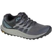 Wandelschoenen Merrell Antora 3