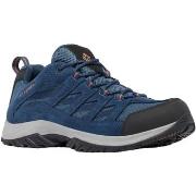 Wandelschoenen Columbia Imperméable Crestwood