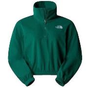 Fleece Jack The North Face 100 Glacier Fleece