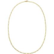 Ketting Phebus Collier Homme