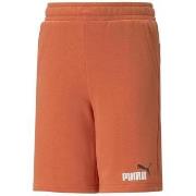 Korte Broek Puma -