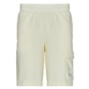 Korte Broek Puma ESS LOGO CARGO SHORTS