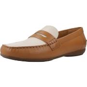 Mocassins Geox D ANNYTAH MOC