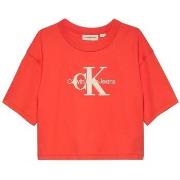 T-shirt Calvin Klein Jeans -