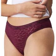 Tanga's Calvin Klein Jeans -