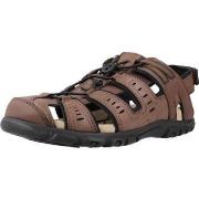 Sandalen Geox U S STRADA C