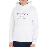 Sweater Tommy Hilfiger -