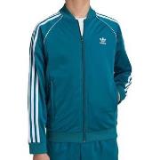 Blazer adidas -