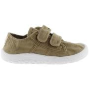 Sneakers Victoria Barefoot Baby Sneakers 370111 - Laurel