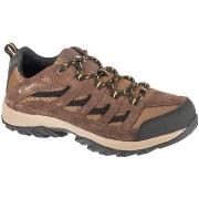 Wandelschoenen Columbia Crestwood