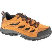 Wandelschoenen Columbia Crestwood