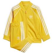 Trainingspak adidas -