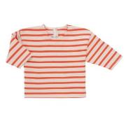 T-Shirt Lange Mouw Petit Bateau BEGUIN