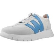 Sneakers Wonders A2476