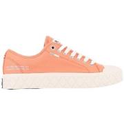 Sneakers Palladium PALLA ACE CVS ORG