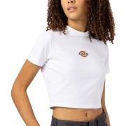 T-shirt Dickies MAPLE VALLEY REG TEE