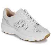 Lage Sneakers Clarks Tivoli Walk