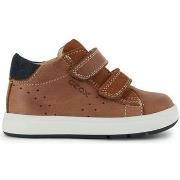 Sneakers Geox Baskets